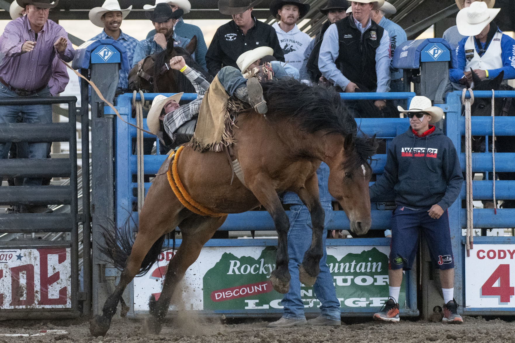 Cody Stampede